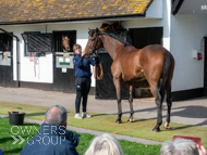 NH051025-33 - Will Carver